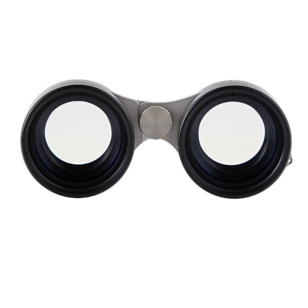 Vixen 双眼鏡 星座観察用双眼鏡 SGシリーズ SG2.1×42