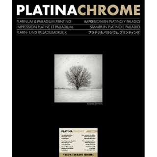 PLATINACHROME TE-WASHI ICHIBEI 11x14C` 10 v`iN[ 荗a sq PLATINACHROME TE-WASHI ICHIBEI 433419 [10 /]