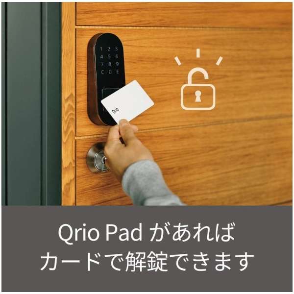 Qrio Card Q-CD1_3