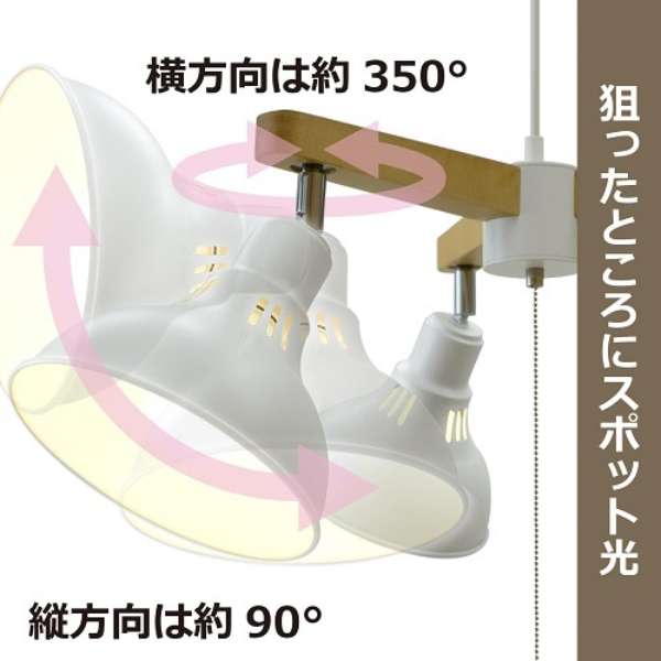 LEDペンダントライト 電球別売 DN3067CHWH_4