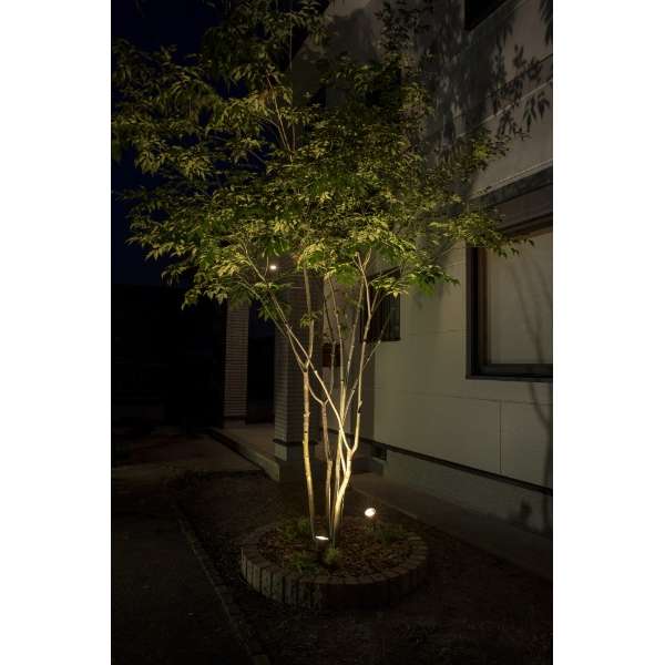 发光nobeshon树的发光，设置的LGL-LH01P LGL-LH01P_6