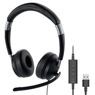 ヘッドセット ブラック HS-HP101UNCBK [USB /両耳 /ヘッドバンドタイプ]