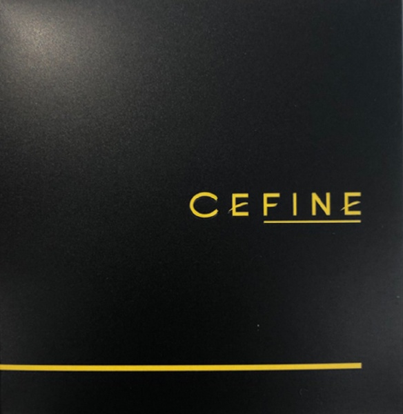 CEFINE セフィーヌ　シルクウェットパウダー レフィルのみ OC110
