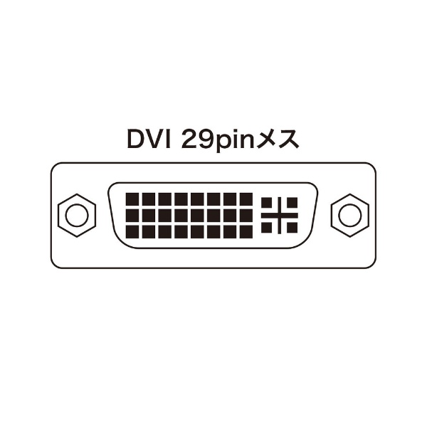 DVI切替器 (Mac/Win) SW-EDV2N2 [2入力 /1出力 /手動] サンワサプライ