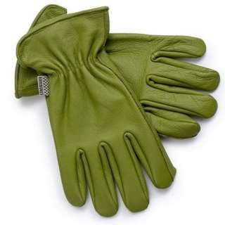 古典的工作手套(XS尺寸:L22.8cm×W9.5cm/橄榄)20232019