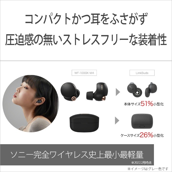 sony tCXCz@Link Buds WF-L900@RpNg