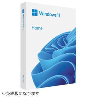 Windows 11 Home英语版