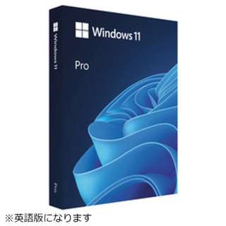 Windows 11 Pro p