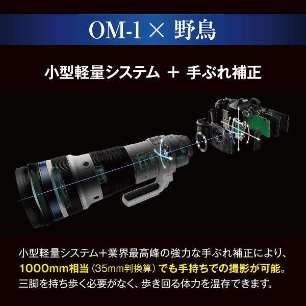 OM-1 ~[XJ 12-100mm F4.0 PROLbg [Y[Y]_11