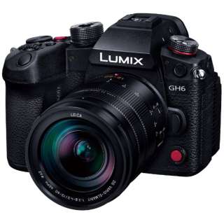 LUMIX GH6 ミラーレス一眼カメラ 標準ズームレンズキット DC-GH6L [ズームレンズ]