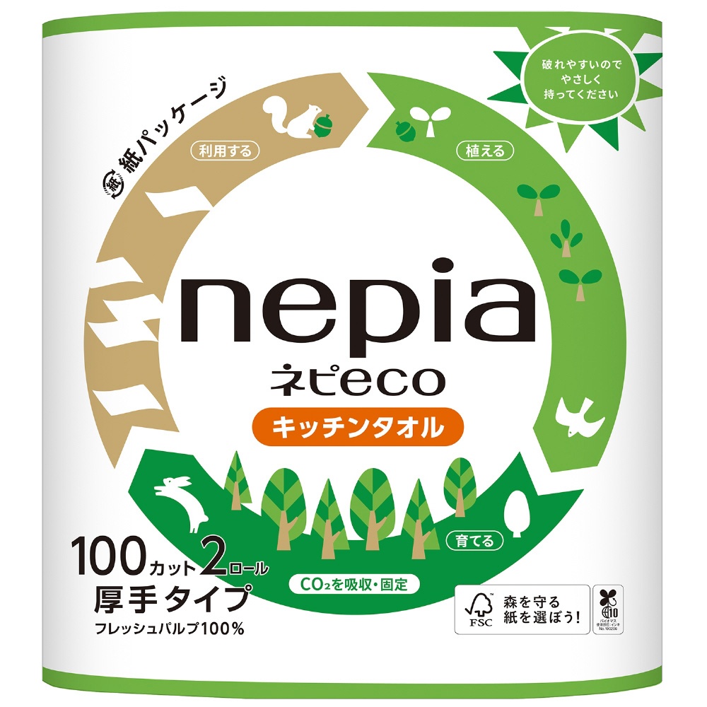 ネピECO キッチンタオル 2ロール100カット 王子ネピア｜nepia 通販 | ビックカメラ.com