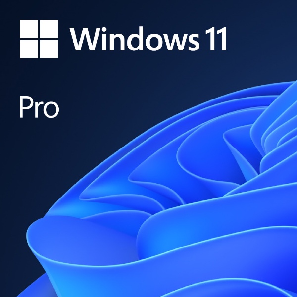 Windows 11 Pro 日本語版 マイクロソフト｜Microsoft 通販
