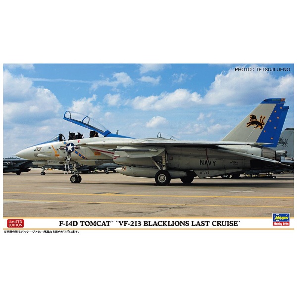 1/72 F-14D トムキャット “VF-213 ブラックライオンズ ラストクルーズ 