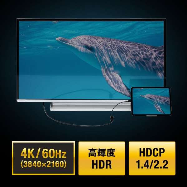 fϊA_v^ [USB-C IXX HDMI] 4K HDRΉ AD-ALCHDR02_3