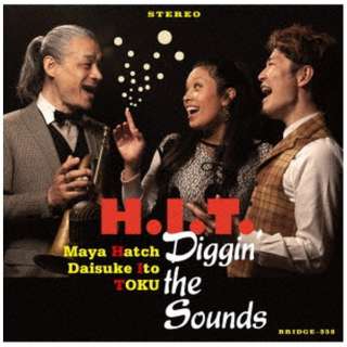 HDIDTD/ Digginf the Sounds yCDz