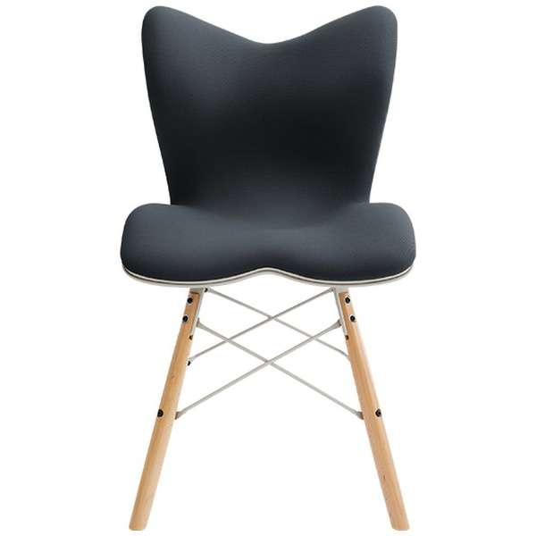 姿势支援席Style Chair ＰＭ(样式椅子Ｐ Ｍ)黑色YS-AZ-03A_1