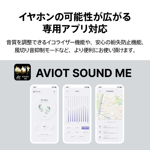 【新品・未開封】AVIOT ワイヤレスイヤホン TE-D01V　ブラック