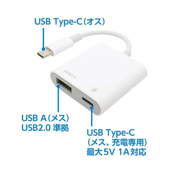 SAD-CH04/WH USB-C  USB-C{USB-A ϊzXgnu zCg [oXp[ /2|[g /USB2.0Ή]_2