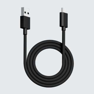 EgJX^ CXp USB-C  USB-AP[u [1.8m] ubN pw-usb-type-c-paracord-cable-black