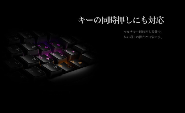 ゲーミングキーボード WizarD KL21C1 [有線 /USB] I-CHAIN JAPAN｜アイ