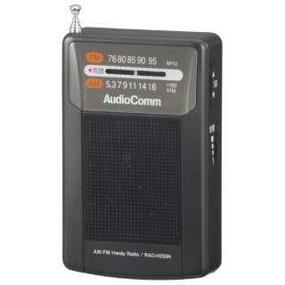 c^nfBWI AudioComm RAD-H250N [ChFMΉ /AM/FM]