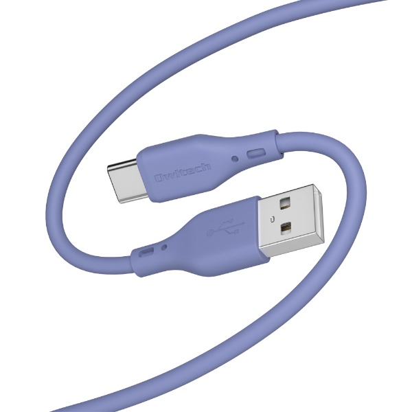 륭åǤޤˤ USB Type-A to USB Type-C եȥꥳ󥱡֥ å֥롼 OWL-CBSAC10-AB [1m]