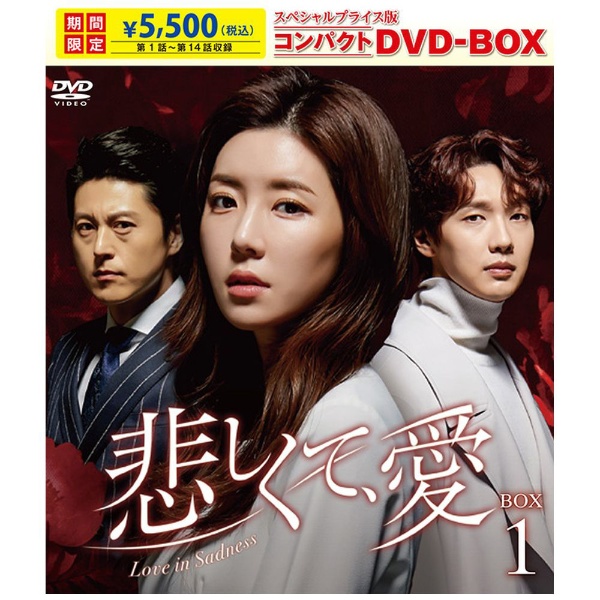 悲しくて、愛 スペシャルプライス版コンパクトDVD-BOX1 ＜期間限定＞ 【DVD】