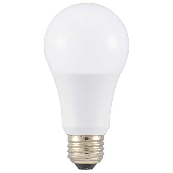 LED電球 (68)
