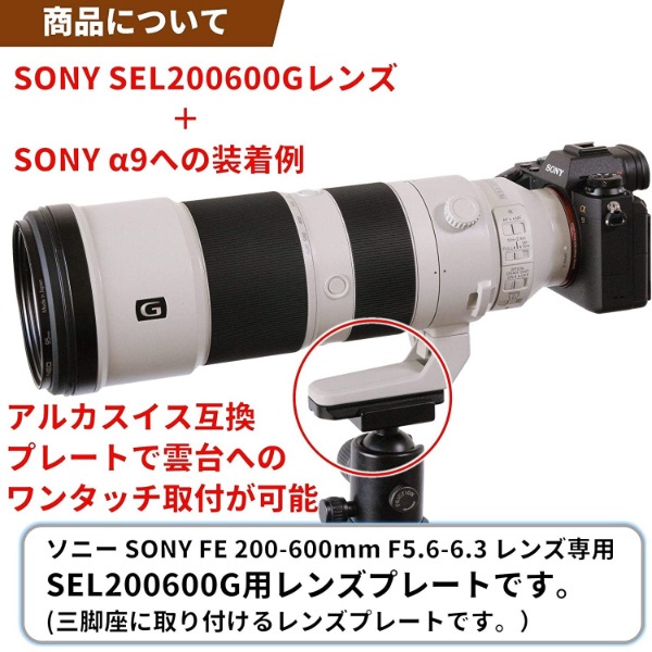 SONY sel 200-600mm f5.6-6.3 G 超望遠レンズsigma