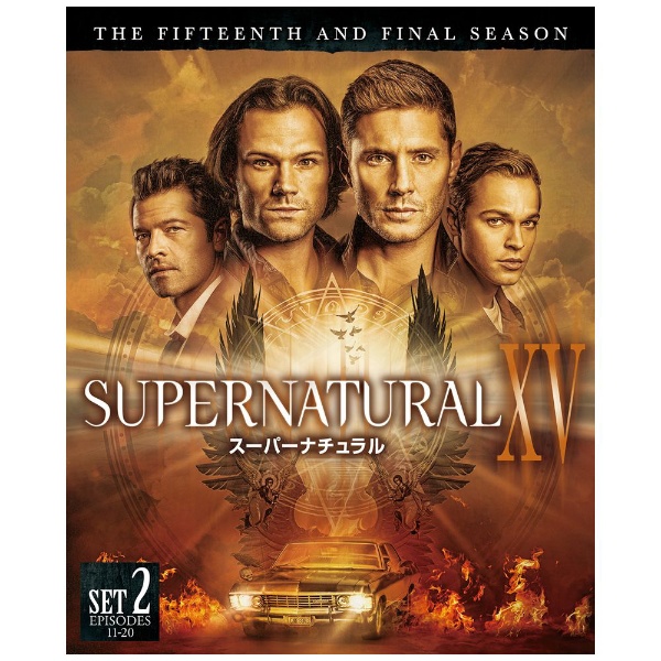 スーパーナチュラル season1~14 DVD SUPER NATURALDVD/ブルーレイ