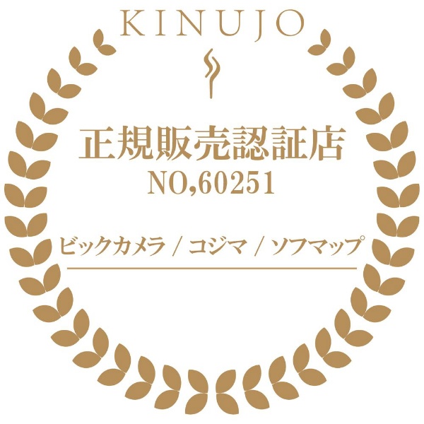 マイナスイオンヘアドライヤー【大風量/遠赤外線/軽量】 KINUJO 
