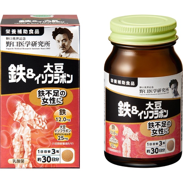 納豆キナーゼEX 90粒（約30日分）【栄養補助食品】 野口医学研究所