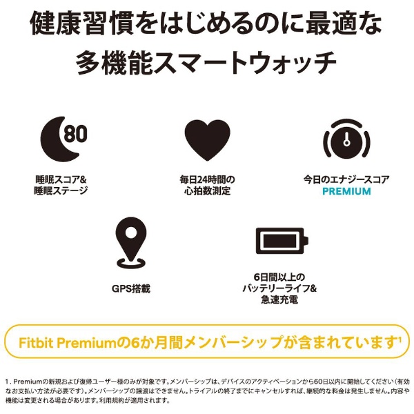 Fitbit Versa 4 Black（ブラック） FB523BKBK-FRCJK Fitbit｜フィット