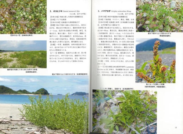 バーゲンブック】日本の海岸植物図鑑 トンボ 通販 | ビックカメラ.com