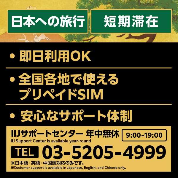 japan travel sim 1.5gb (type i) for bic sim