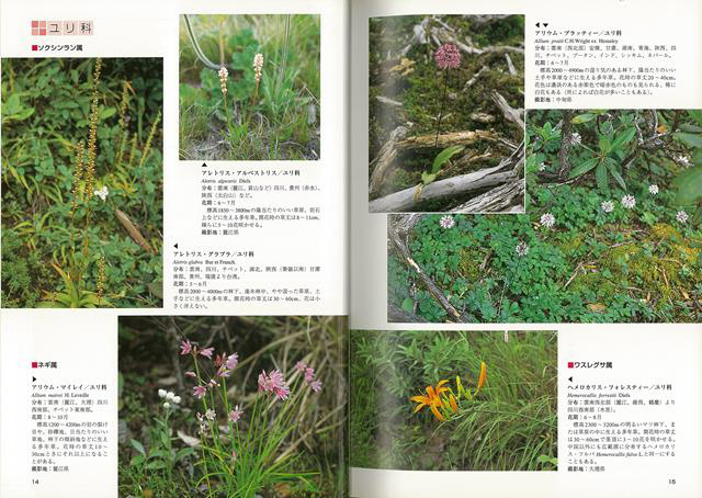 バーゲンブック】南雲の植物 トンボ 通販 | ビックカメラ.com