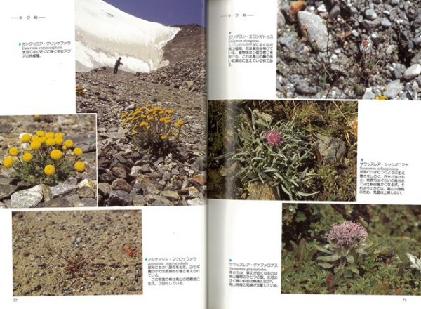 バーゲンブック】中国天山の植物 トンボ 通販 | ビックカメラ.com