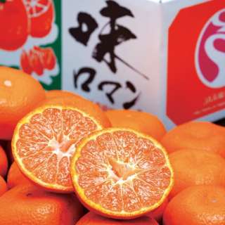 长崎县生产极甜橘子"味道浪漫"约2.5kg