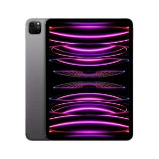 [无SIM] iPad Pro 11英寸(第4代)Apple M2 11型Wi-Fi+Cellular型号库存：128GB双重SIM(nano-SIM和eSIM)MNYC3J/A空间灰色