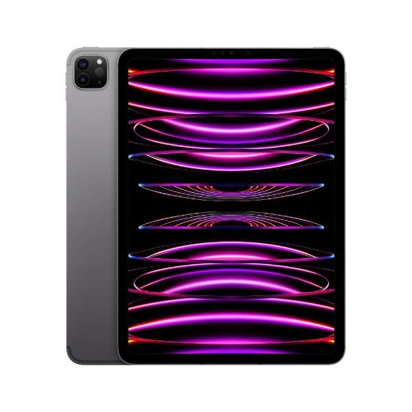 [无SIM] iPad Pro 11英寸(第4代)Apple M2 11型Wi-Fi+Cellular型号库存：256GB双重SIM(nano-SIM和eSIM)MNYE3J/A空间灰色_1