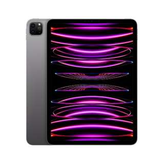 iPad Pro 11インチ（第4世代） Apple M2 11型 Wi-Fiモデル ストレージ：1TB MNXK3J/A スペースグレイ