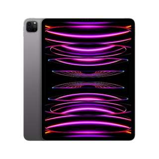iPad Pro 12.9インチ（第6世代） Apple M2 12.9型 Wi-Fiモデル ストレージ：2TB MNXY3J/A スペースグレイ