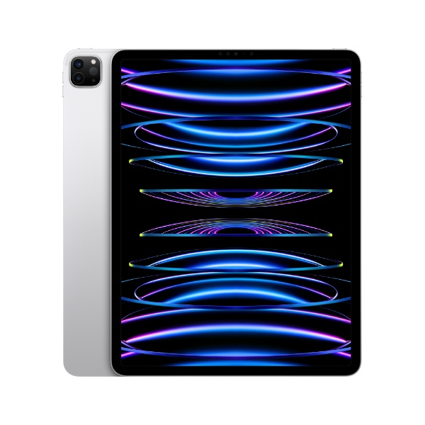 iPad Pro 12.96 Apple M2 12.9 Wi-Fiǥ ȥ졼2TB MNY03J/A С
