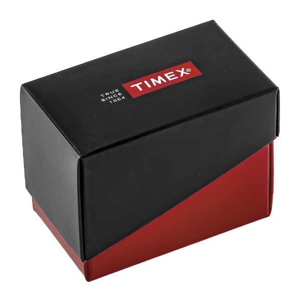 TIMEX タイメックス サウスビュー TW2R80400
