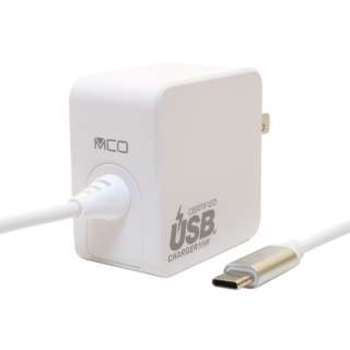 AC  USB-C[d m[gPCE^ubgΉ 65W [1.5m /USB Power DeliveryΉ] zCg IPA-GC15AN/WH
