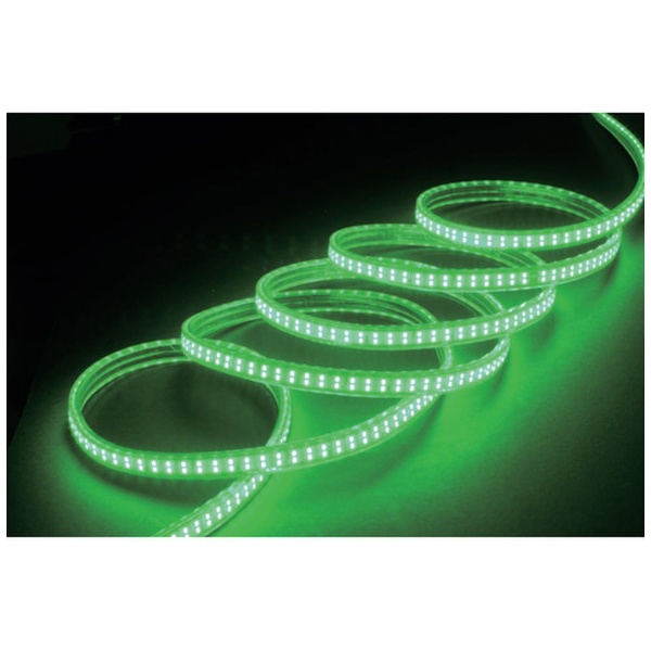 ハタヤ ＬＥＤテープライト片面発光タイプ（２０ｍ緑セット） LTP-20S 