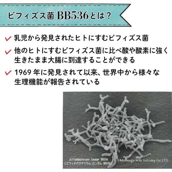 クリニコ おなか活き活きビフィズス菌 1.5ｇ×30本 - バランス栄養