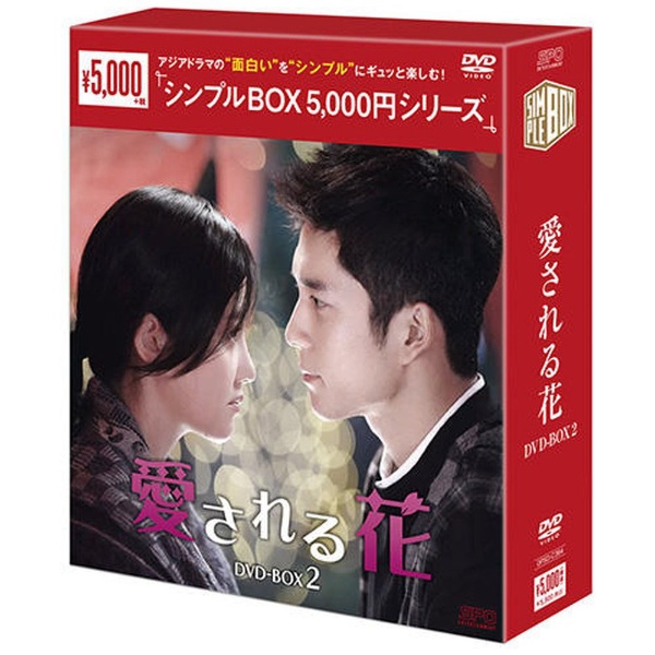 【数量限定】【初回盤】DVD-BOX２(セル版)『紳士の品格 ≪完全版≫ 』
