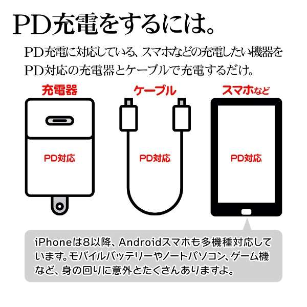 L^C to Type-C_炩P[u PDΉ 1m ubN R10CACC3A02BK [USB Power DeliveryΉ]_14