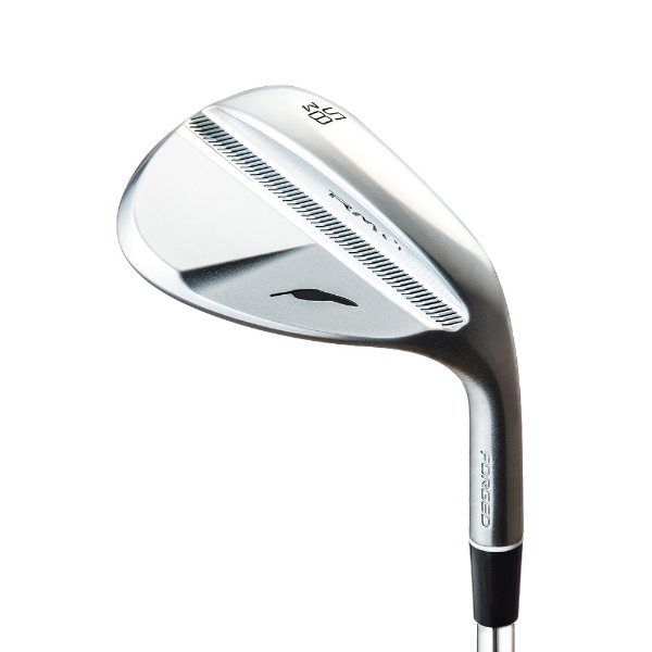 C-036 FORGED PW N.S.PRO TS-114w スチールシャフト